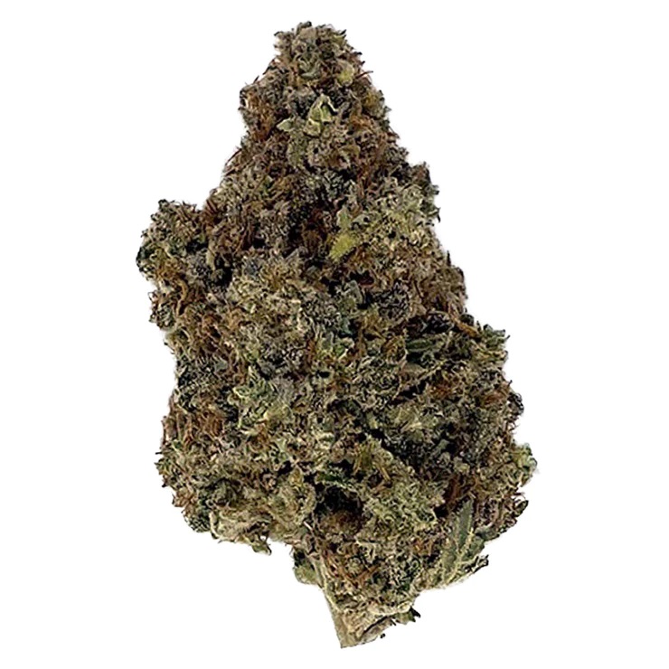 HIGH STREET : CRAFT LILAC DIESEL