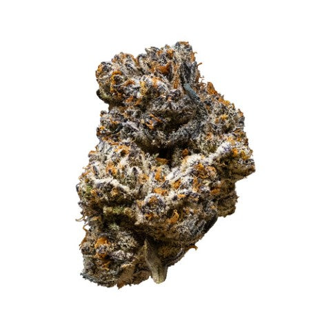 3Rd Coast Genetics : Jack Truffle