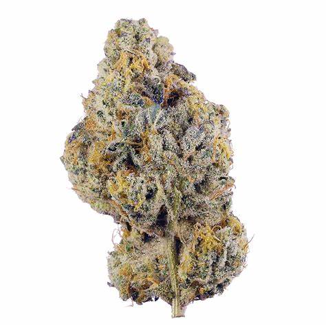 CHOICE GROWERS CANNABIS : PINK WEDDING CAKE COOKIES PRE-ROLLS - PINK WEDDING CAKE COOKIES PRE-ROLLS (10x0.35g)