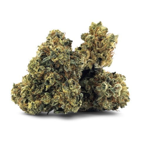 BC Black : VICTORIA CANNABIS CO BC KUSH