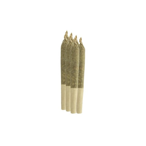 Sheeesh! : TROP JUICE PRE-ROLLS (7x0.5g)