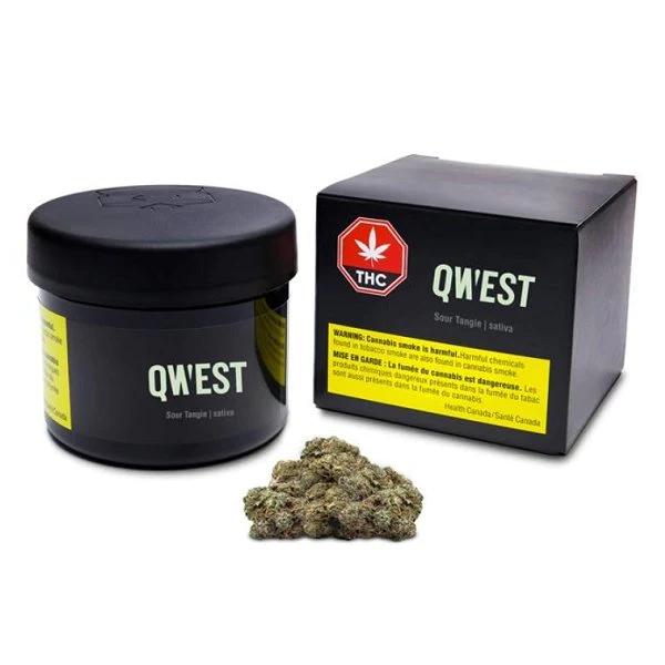 QWEST : SOUR TANGIE