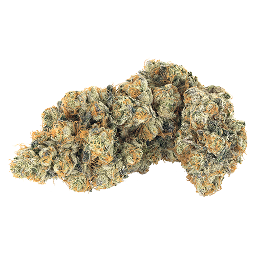 BROKEN COAST : FROST MONSTER