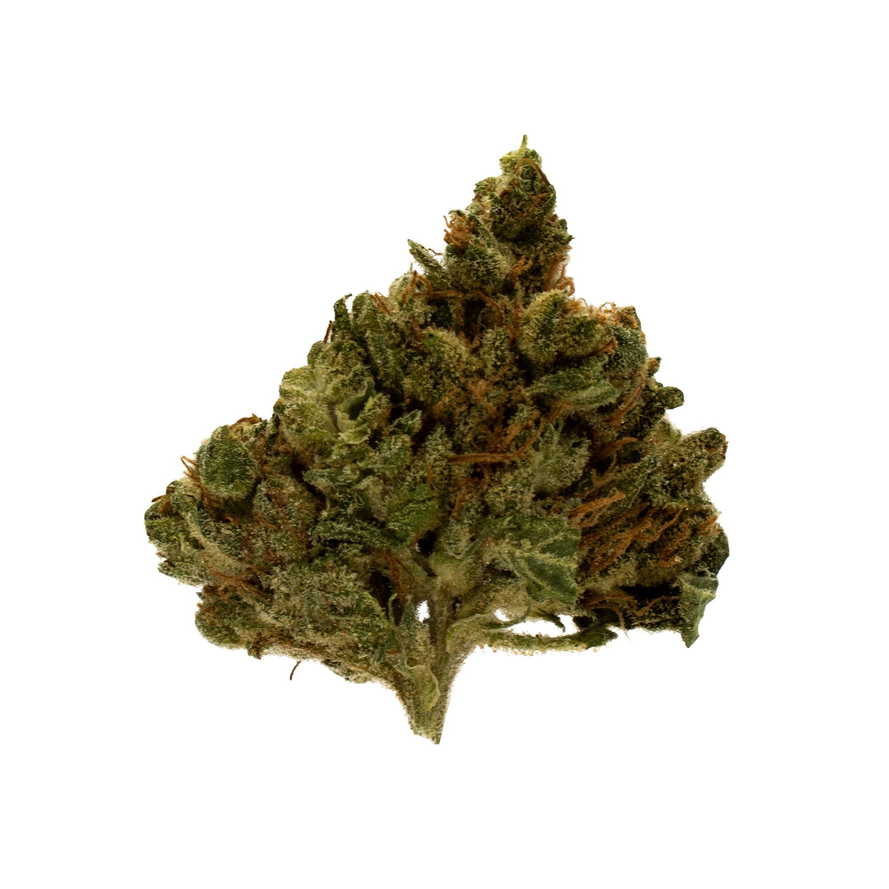 Original Stash - Os. Haze - Sativa 14G