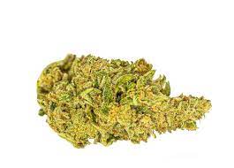 WeedMD : WHITE SHARK
