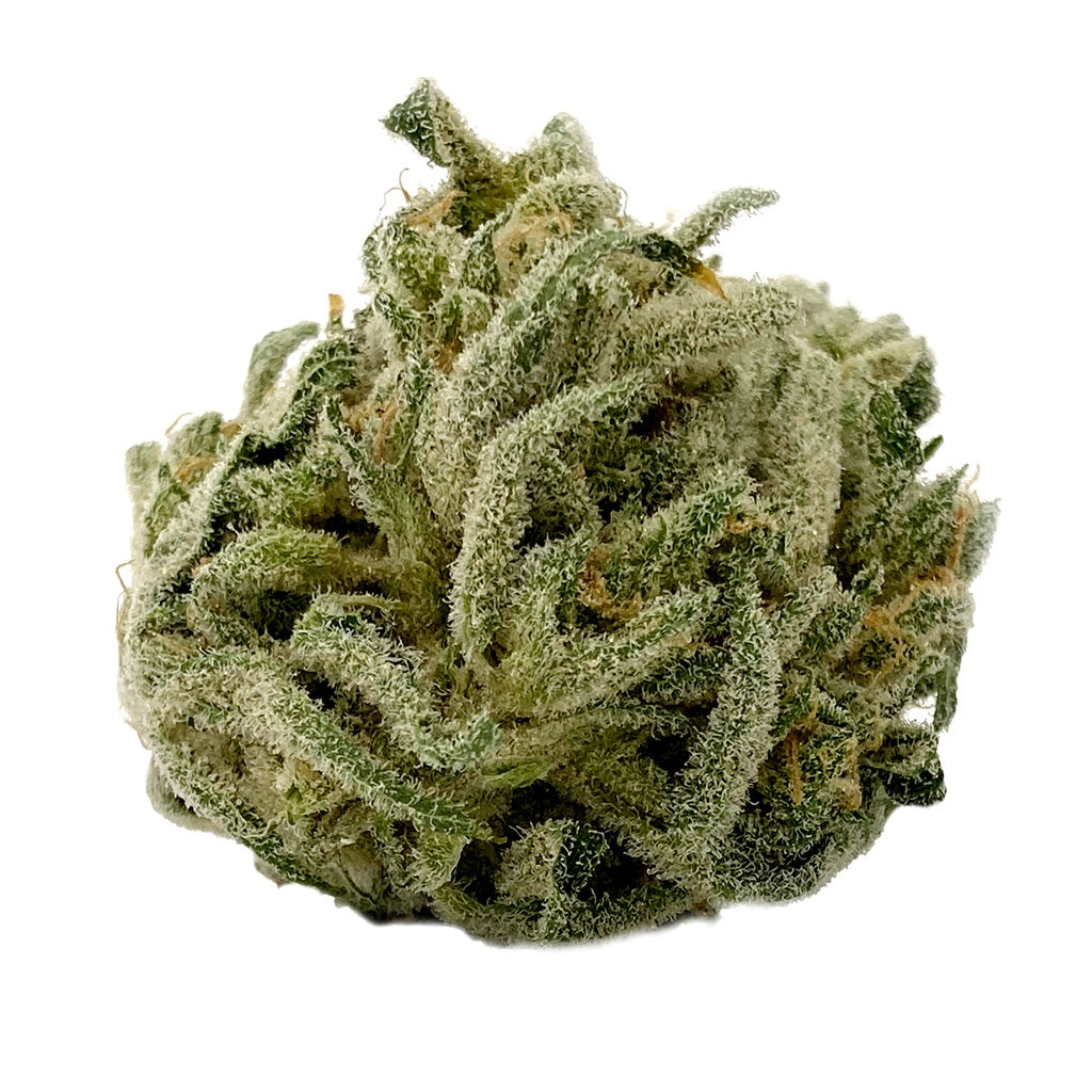 MTL CANNABIS : COOKIES N' CREAM