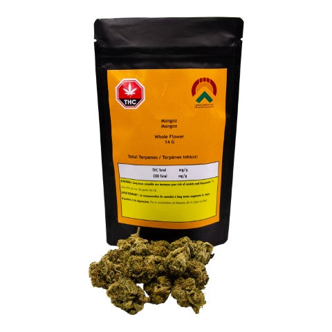 Green Mountain Health Alliance - Mangoz