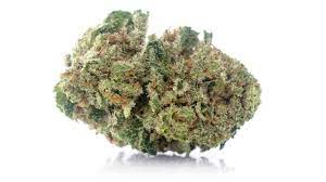 Tantalus Labs : BC SUNGROWN HARLEQUIN