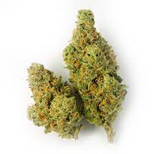 WeedMD : BLUEBERRY SEAGAL