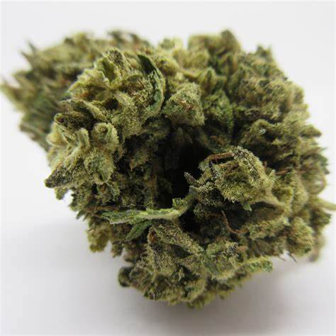 MAGI : CHEMDAWG OG