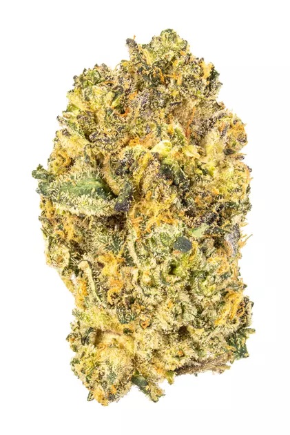 Swithc - Red Falcon -  Hybrid 3.5G