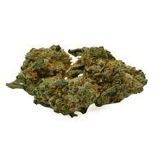 CITIZEN STASH : ICE CREAM GELATO