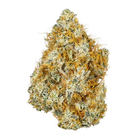 Coast Mountain Cannabis : BC Organic Citrus Sky