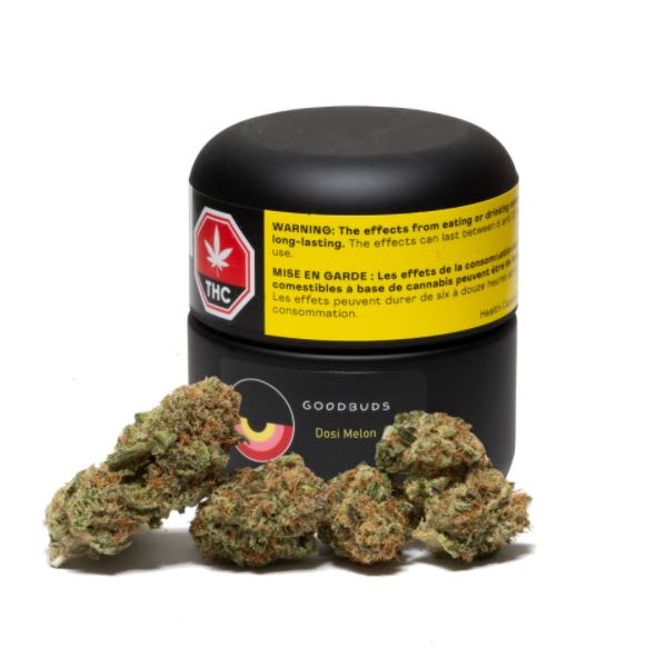 GOOD BUDS : DOSI MELON