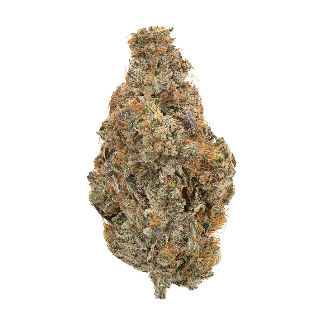 WHISTLER CANNABIS CO: ORGANIC BUBBA KUSH