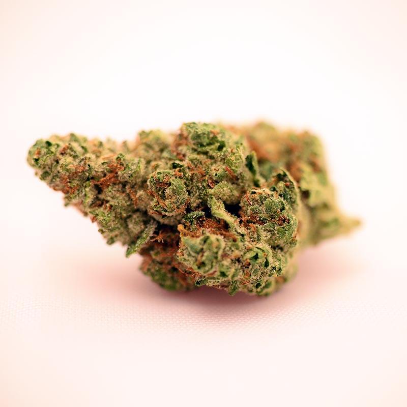 PEMBERTON CRAFT CANNABIS : LEMON OG