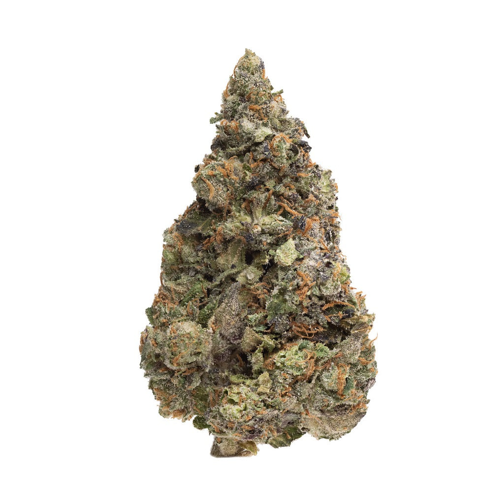 SIMPLY BARE : BC ORGANIC WHITE RNTZ