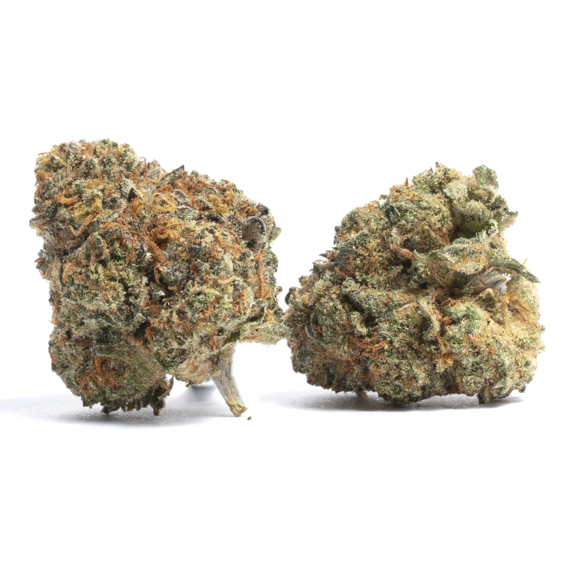 Omy - Kush Cookies - Indica - 0010 - 3.5G