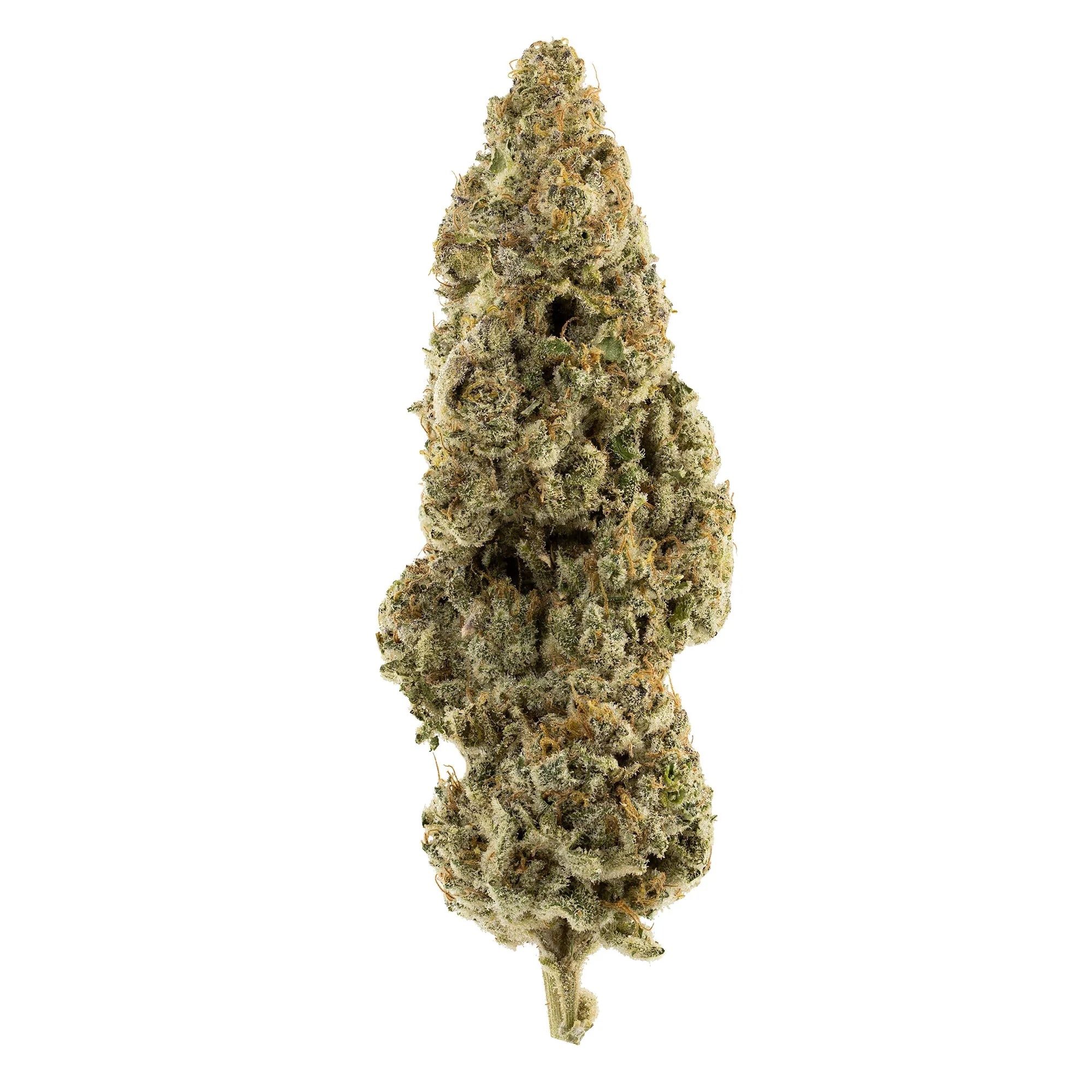 HIGH QUADZ : VELVET GLOVE