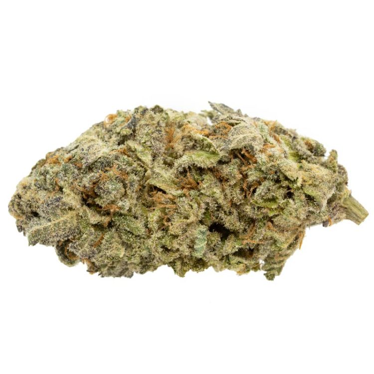Bud Coast - Funfetti -  Indica 15G