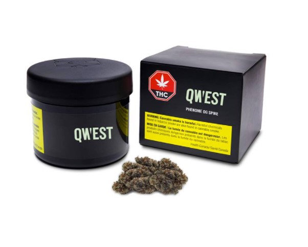 QWEST : PHENOME OG SPIKE
