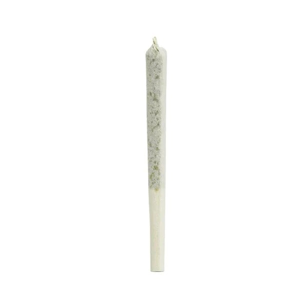 1964 : ORGANIC GELATO #41 PRE-ROLLS (.7g)
