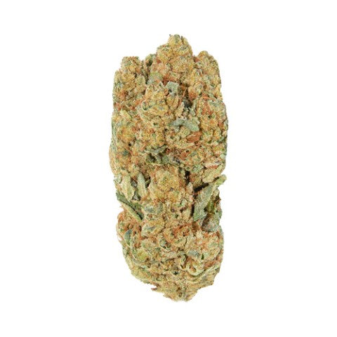 Redecan : Frosted Animal Cake