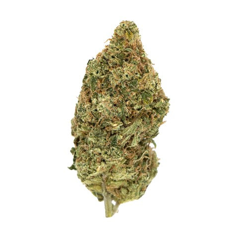 High Quadz : Sour Tangie Lto