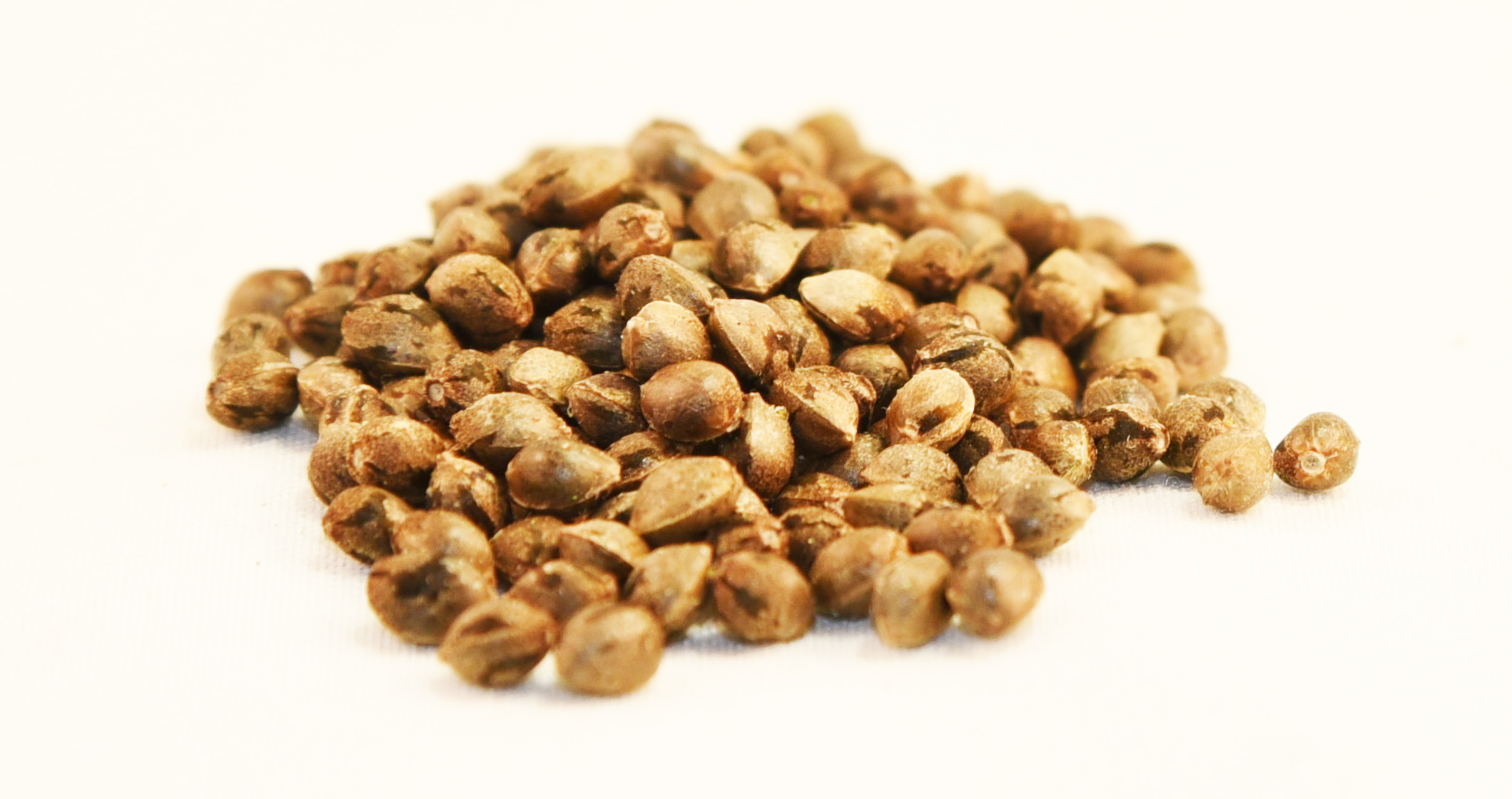 Jax Genetics : JAX MASTER HASH - 4 SEEDS (4Each)