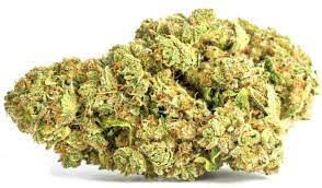 CANNA FARMS : BC CBD CRITICAL MASS