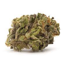 Plain Packaging : SATIVA