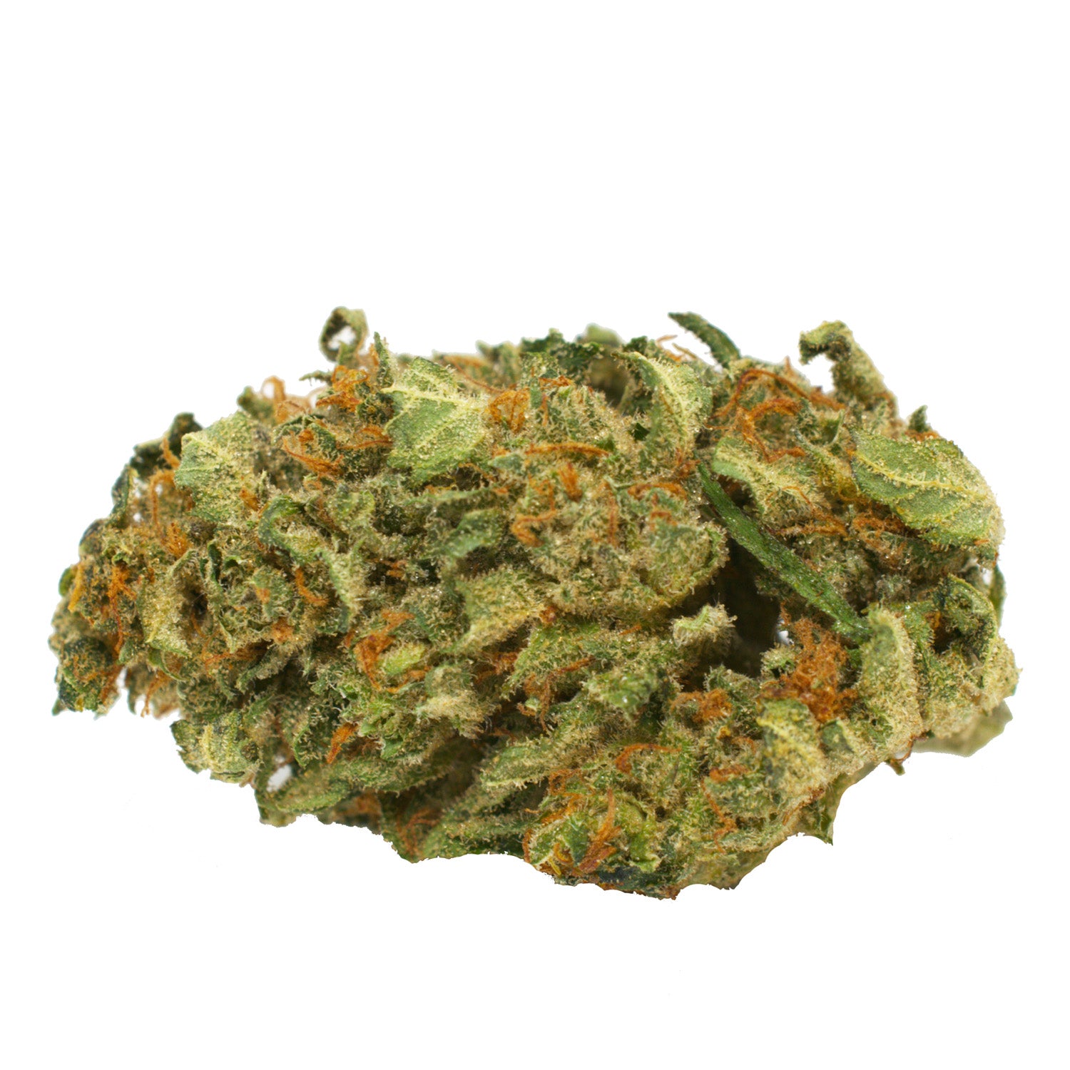 Always Hi - Jack Herer - 14G