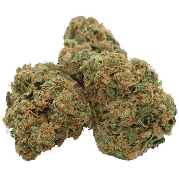 ABBaMedix : CRITICAL ORANGE PUNCH