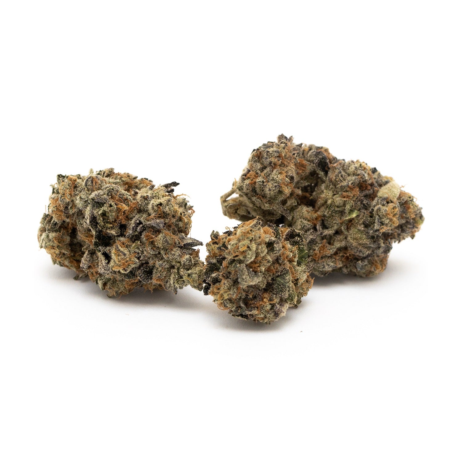 Sitka Micro Collection : WEST COAST GORILLA