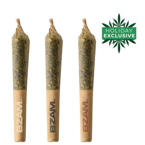 Bzam - Festive Feast Jet Pack - 1.5G