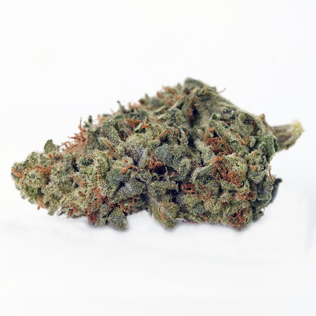 High Tide : DARK STAR
