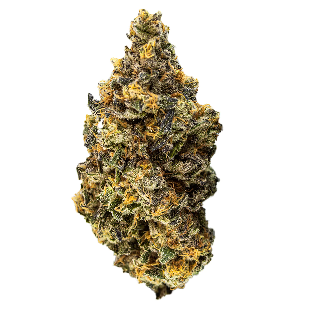 First Choice Cannabis : VANILLA ICE
