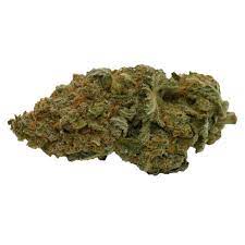 Canna Farms : BLUE WIDOW