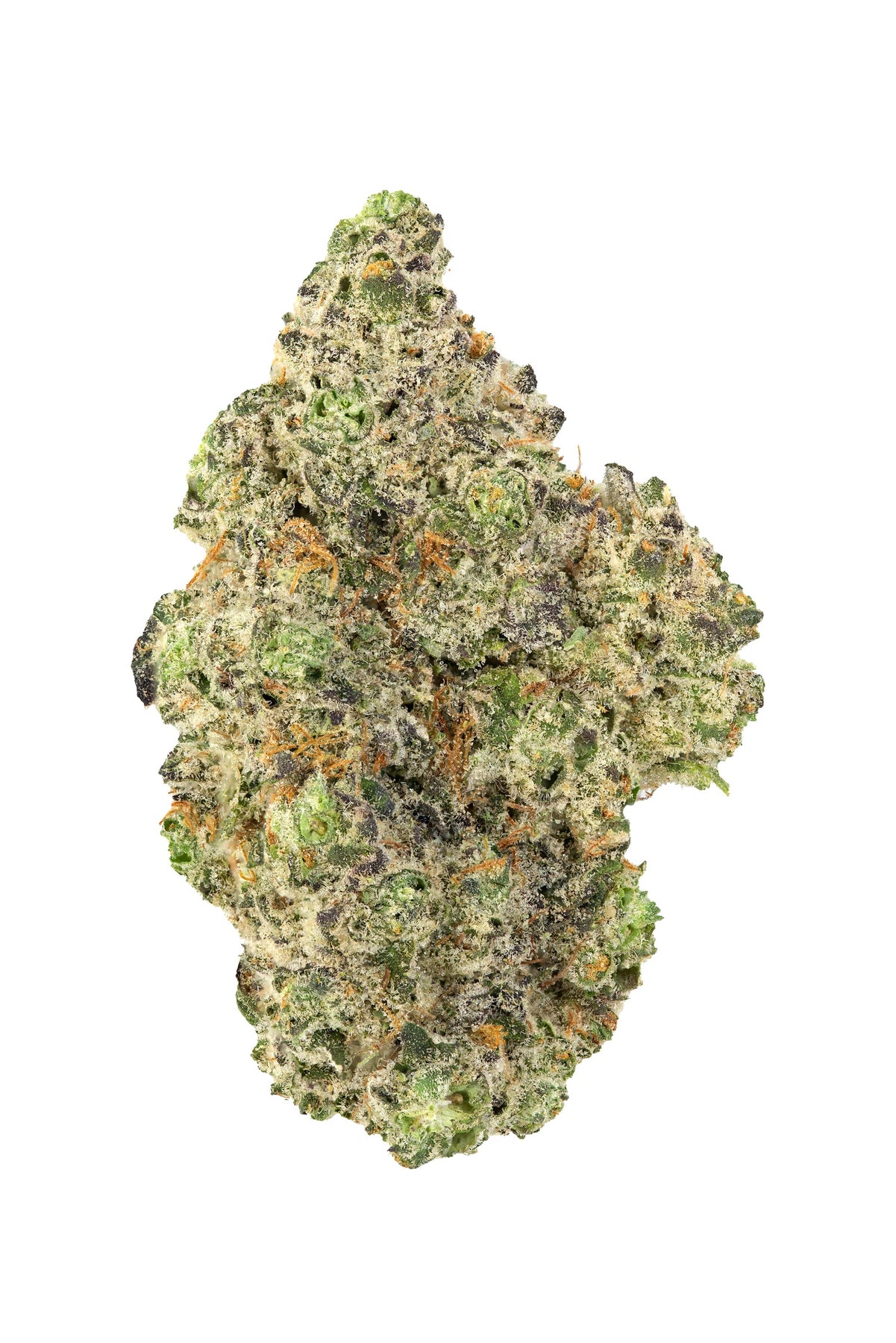 WAGNERS : GOLDEN GHOST OG