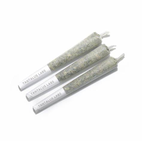TANTALUS : SUNSET SHERBERT PRE-ROLLS - SUNSET SHERBERT PRE-ROLLS (3x0.5g)