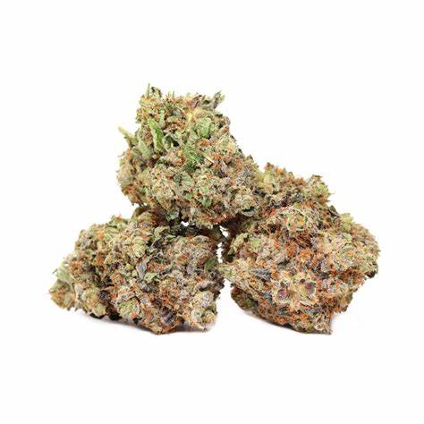 Aarons BC BUD : PARKSVILLE PINK KUSH (TFPK)