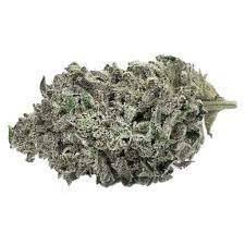 Tantalus Labs - Sunset Sherbert -  Indica 3.5G