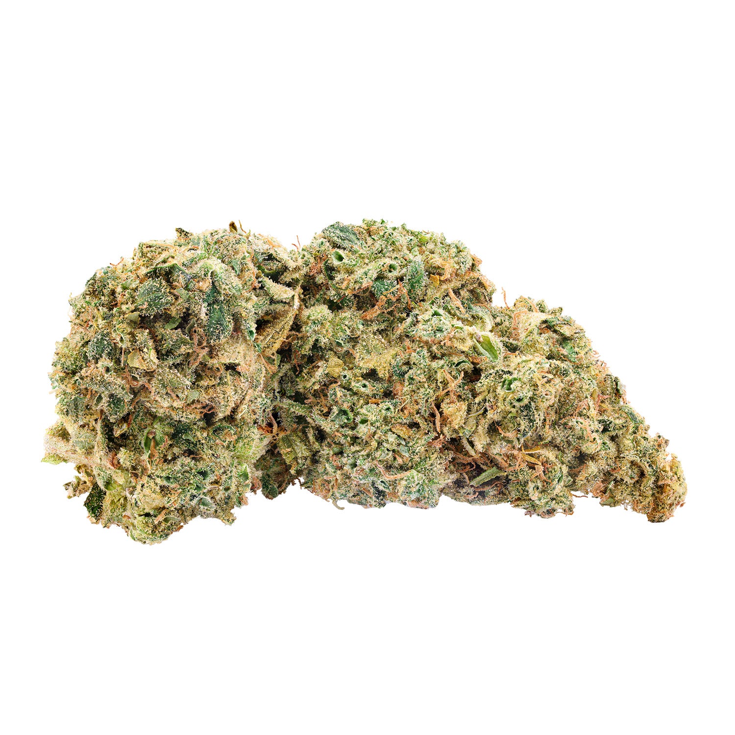 Trailblazer - Britney'S Frozen Limelight Lto - 14G