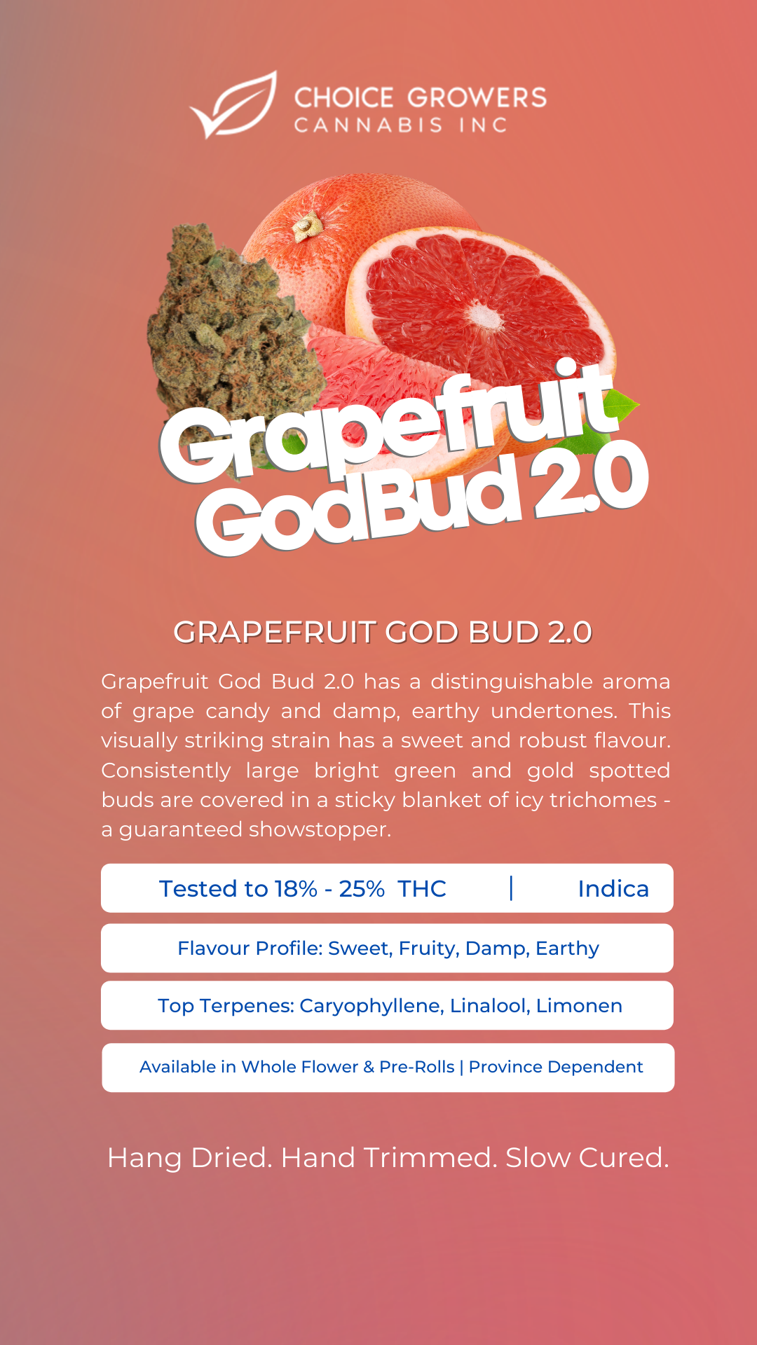 CSTAR CANNABIS : GRAPEFRUIT GOD BUD 2.0 PRE-ROLLS (5x0.5g)