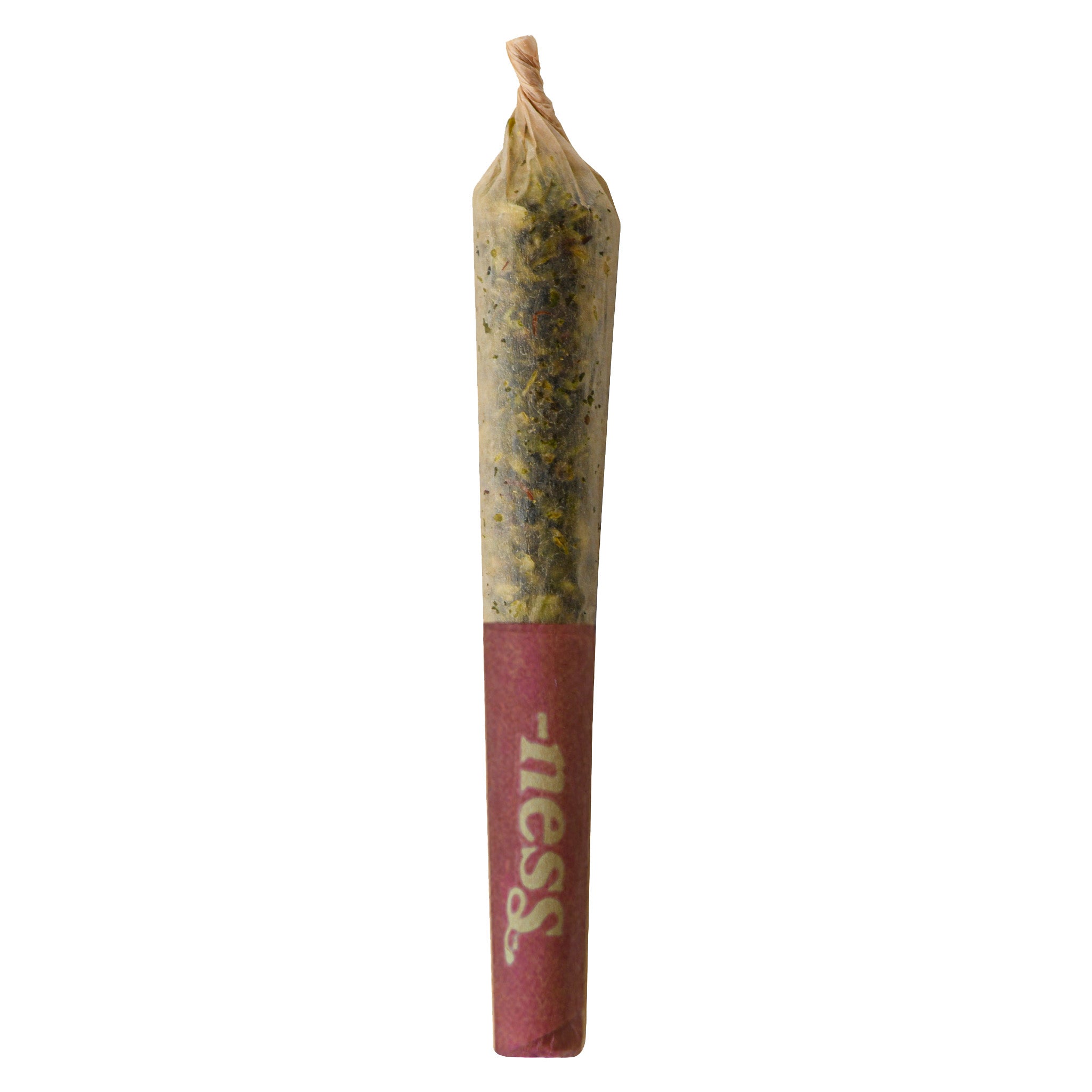 NESS : PUMPKIN SPICE - NESS : PUMPKIN SPICE (1 X .5G)