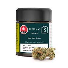 SHELTER CRAFT : VERTE WEST MOTOR BREATH