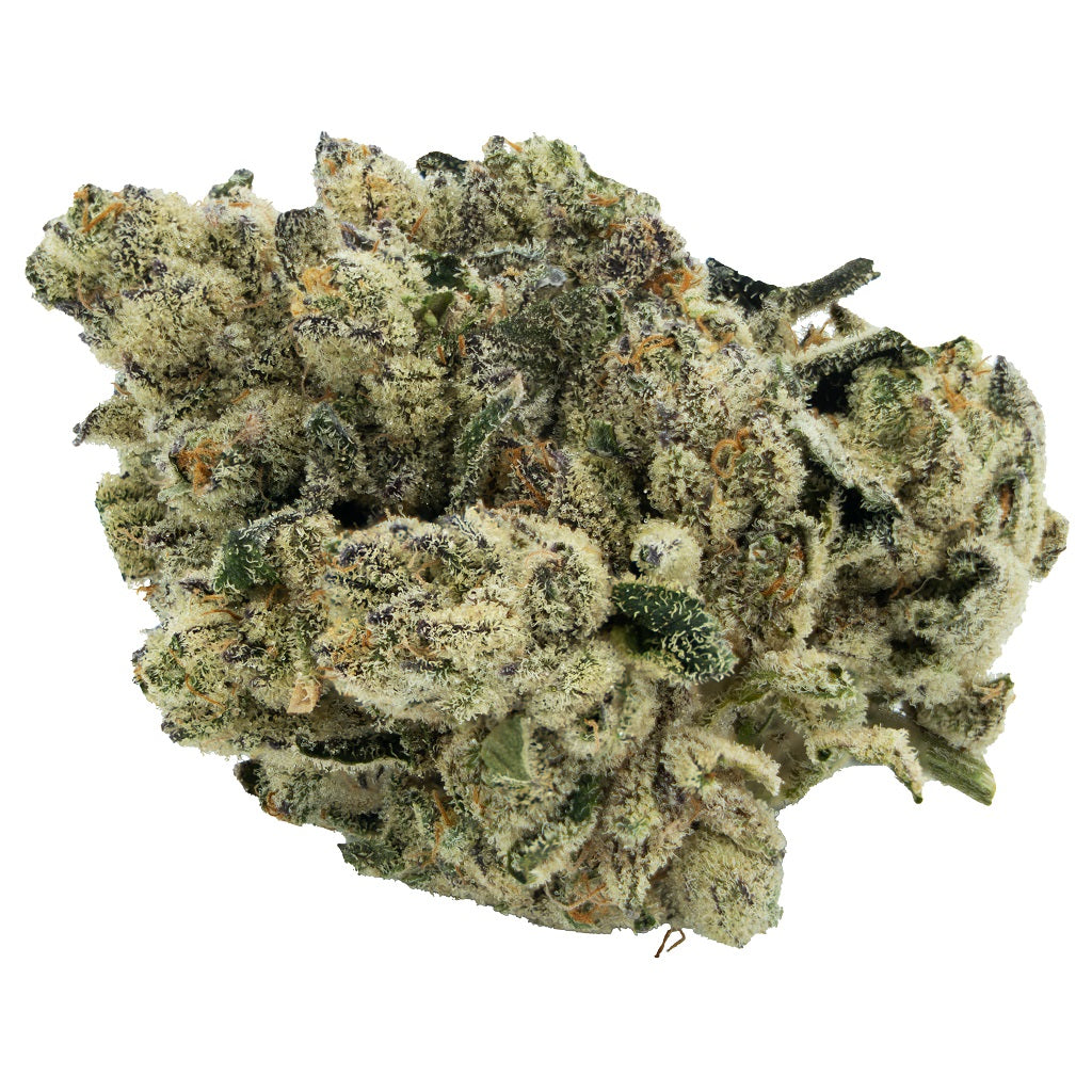 CITIZEN STASH : JUNGLE BREATH