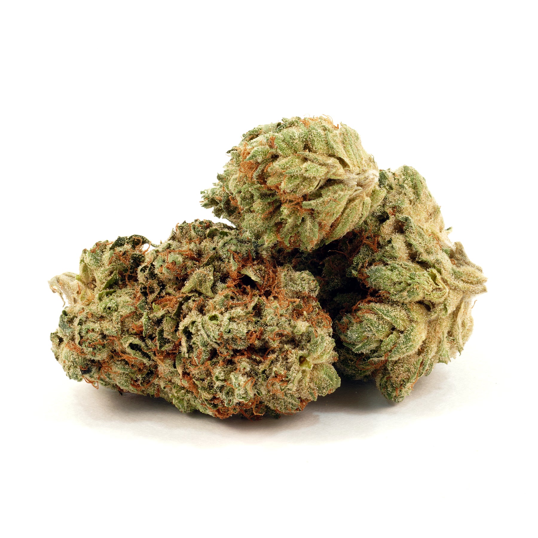 Highland Grow : CHERRY BURST