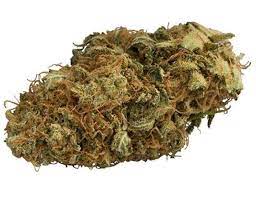 THC BioMed : WEST COAST DREAM
