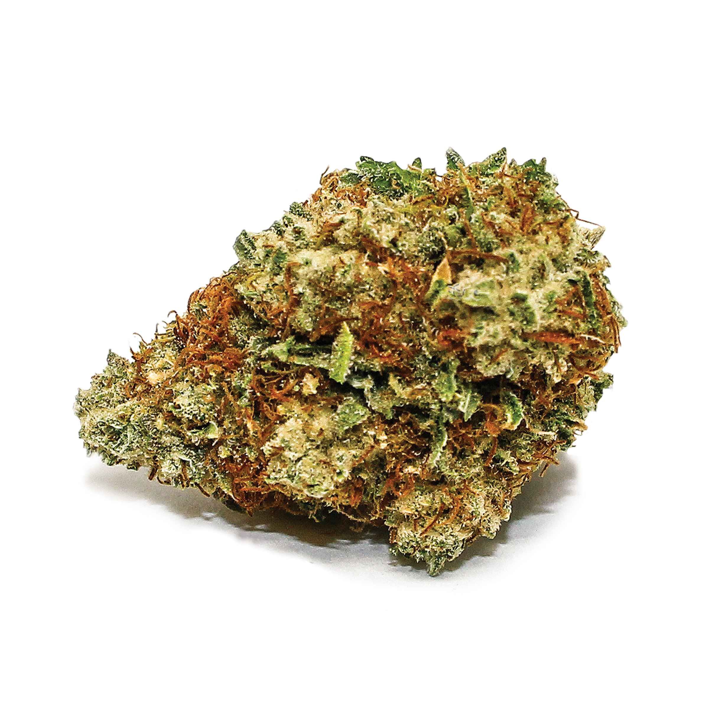 Spinach : SENSI STAR